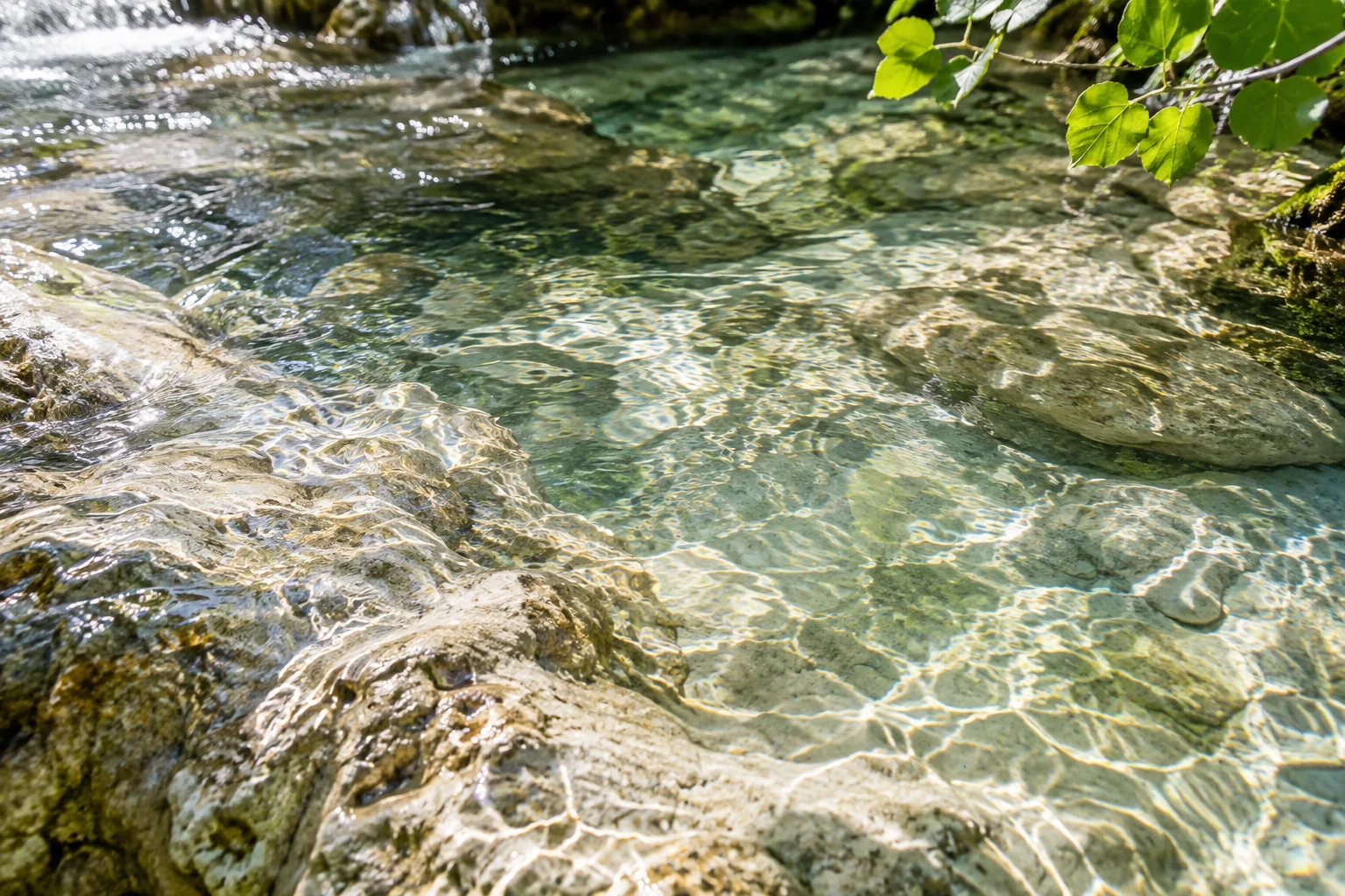 Acqua limpida tra pietre chiare, riflessi di luce e foglie verdi
